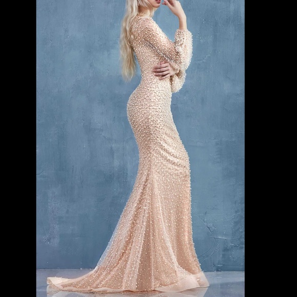 Illusion Neck Mermaid Prom Dress
Design: A0997W - Picture 2 of 4